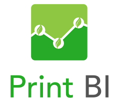 ecoprintQ Print BI